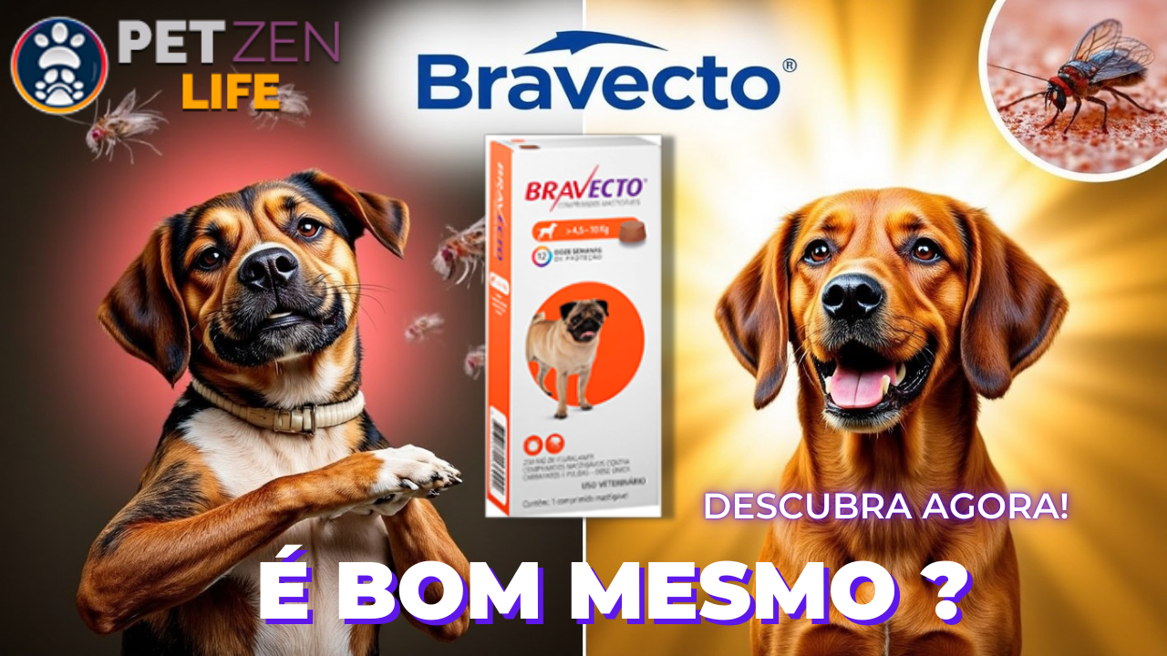 Tablete de Bravecto com cachorro saudável e protegido contra pulgas e carrapatos